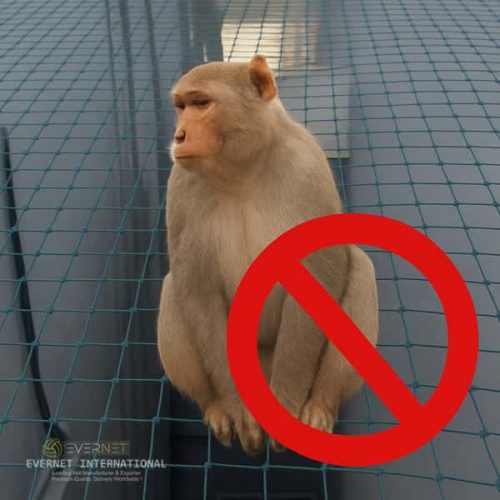 Blue Colour Anti Monkey Protection Net from www.sportsnetfactory.in.png-min